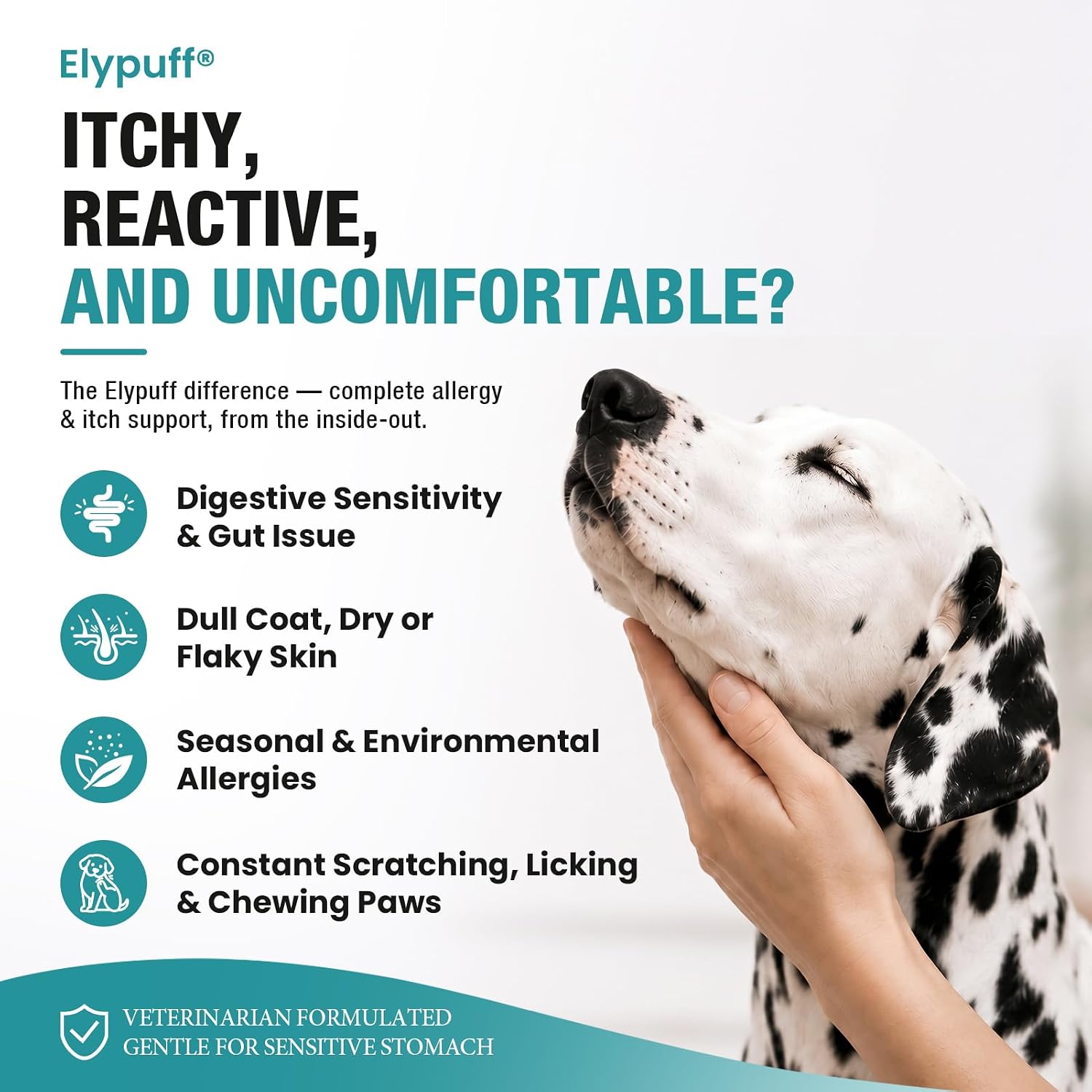 Dog Allergy Relief Immunity Chews (130Ct) - Itching & Paw Licking, Chicken - Image 2