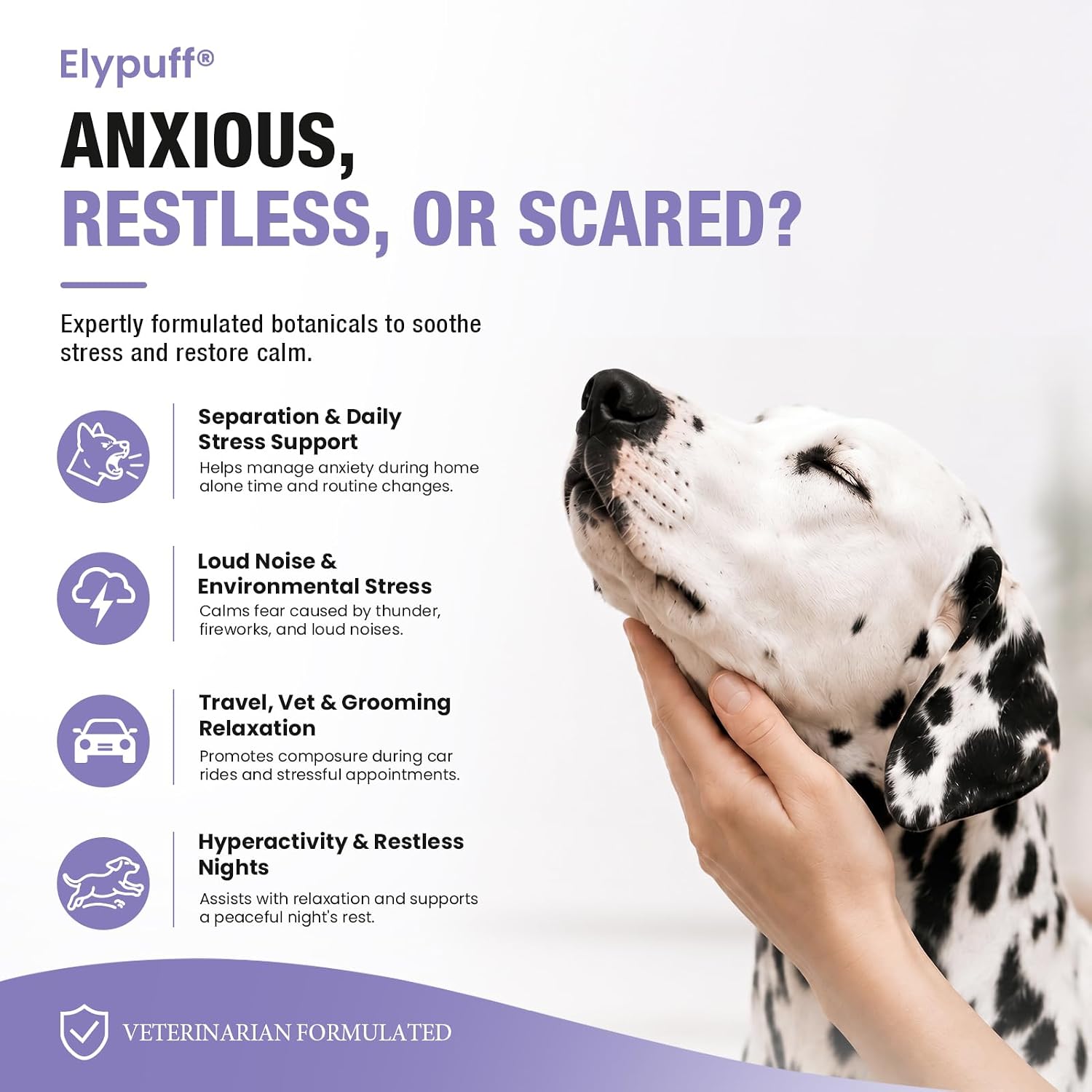 Calming Chews for Dogs - 50ct Dog Calming Chews Anxiety and Stress Relief - Image 3