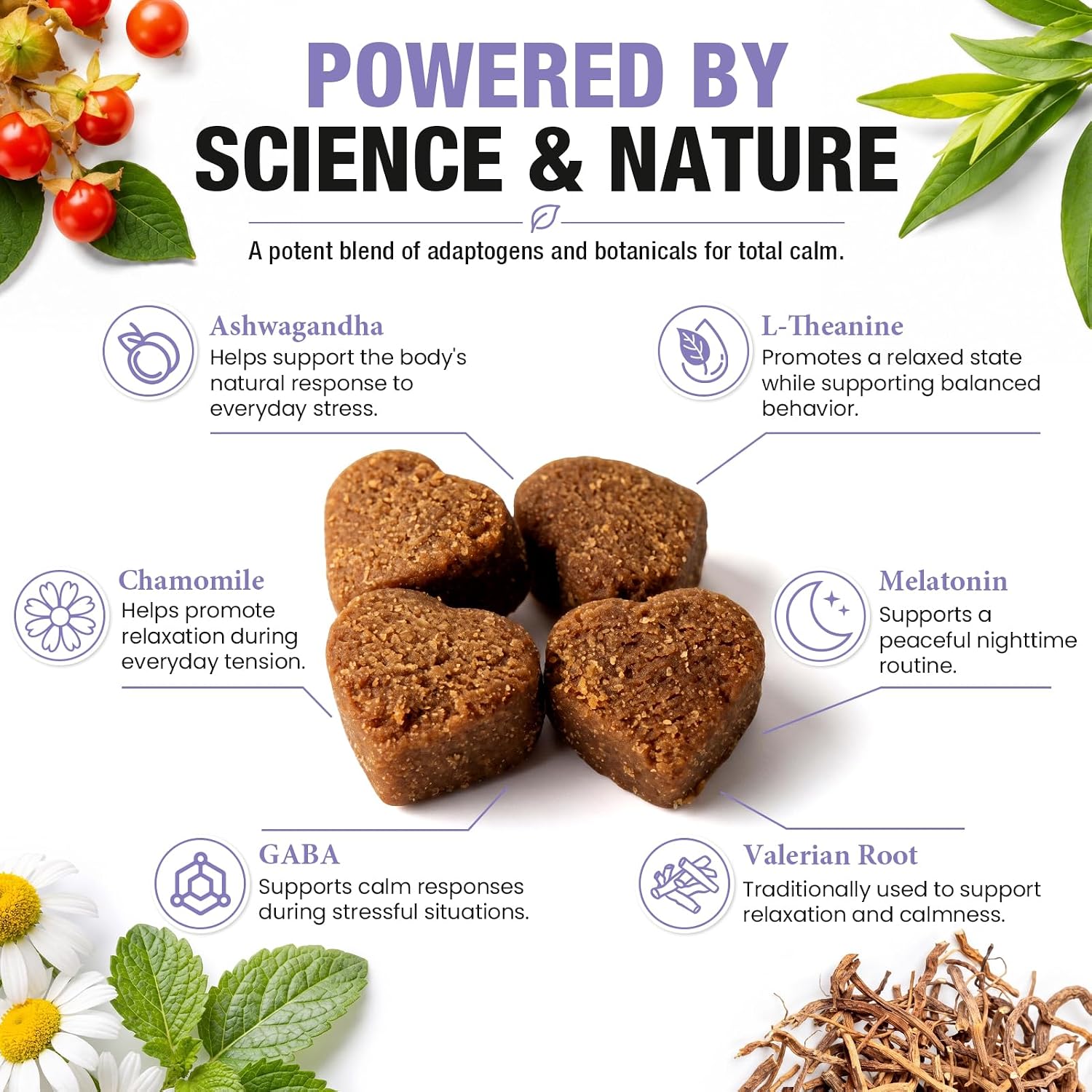 Calming Chews for Dogs - 50ct Dog Calming Chews Anxiety and Stress Relief - Image 4